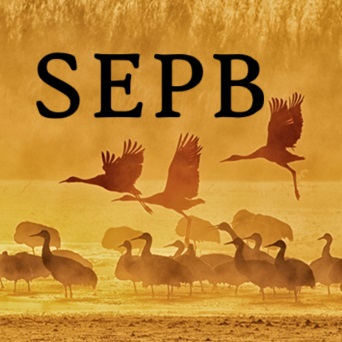 SEPB Token